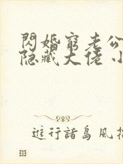 闪婚穷老公竟是隐藏大佬 小说阅读