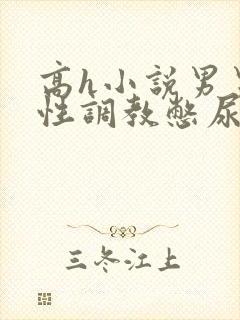 高h小说男男双性调教憋尿封面