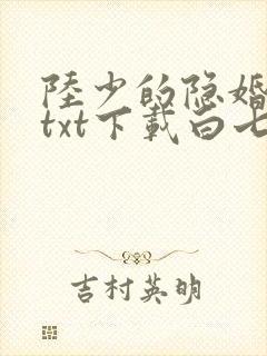 陆少的隐婚罪妻txt下载白七诺