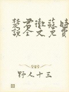 楚君彻苏时锦小说全文免费阅读