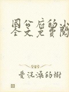 国公府的小媳妇全文免费阅读