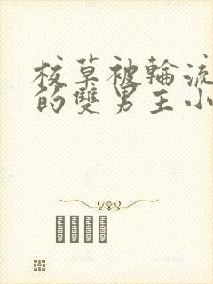 校草被轮流欺负的双男主小说