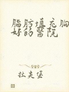 脂肪填充胸部最好的医院封面