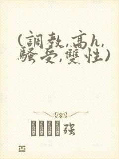 (调教,高h,骚受,双性)