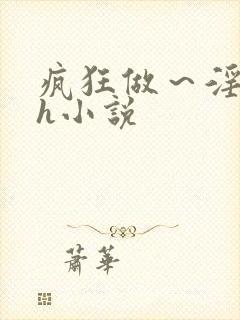 疯狂做～淫h文h小说