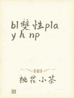 bl双性play h np封面