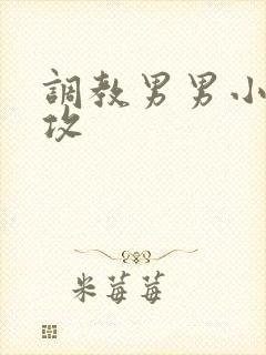 调教男男小说总攻封面