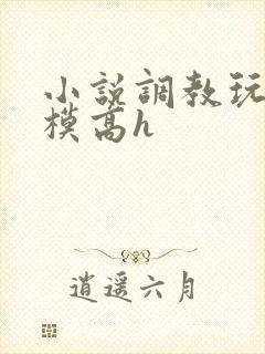 小说调教玩弄嫩模高h