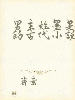 男主姓墨是王爷的古代小说