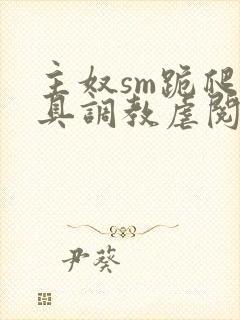 主奴sm跪爬道具调教虐阅读