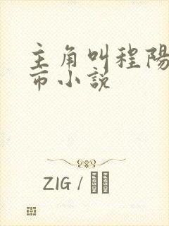 主角叫程阳的都市小说