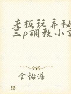 老板玩弄秘书的三p调教小说封面