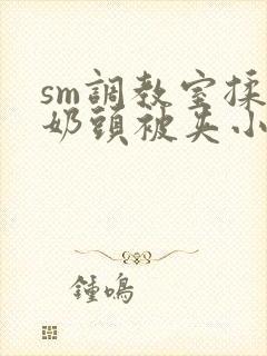 sm调教室揉捏奶头被夹小说