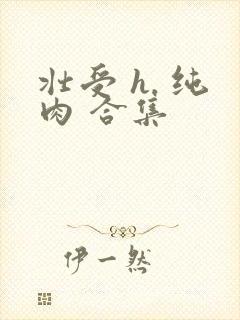 壮受 h. 纯肉 合集