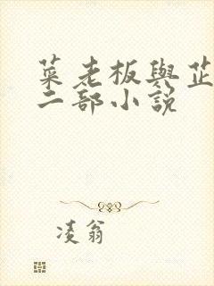 菜老板与芷姗第二部小说