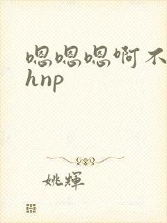 嗯嗯嗯啊不要高hnp封面