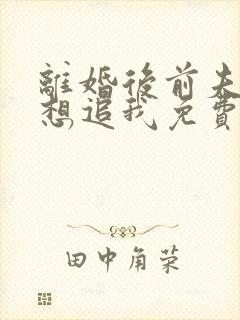 离婚后前夫总是想追我免费阅读封面