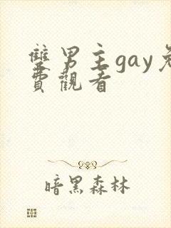 双男主gay免费观看