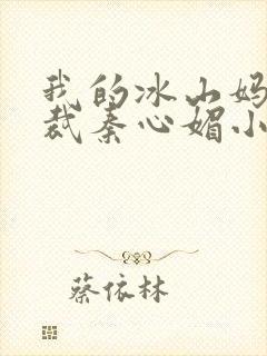 我的冰山妈妈总裁秦心媚小说封面