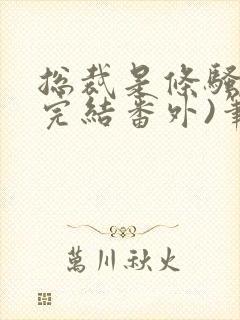 总裁是条骚狗(完结番外)笔趣阁小说