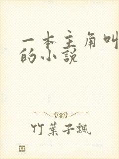 一本主角叫林萧的小说