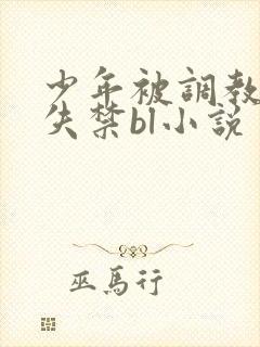 少年被调教爽到失禁bl小说