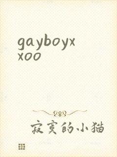 gayboyxxoo