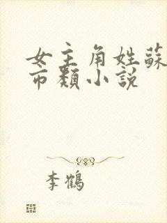 女主角姓苏的都市类小说