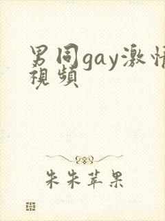 男同gay激情视频