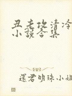 丑老攻清冷美人小说合集封面