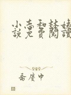 小志和林姨的小说免费阅读全文