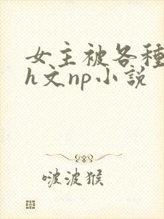 女主被各种调教h文np小说