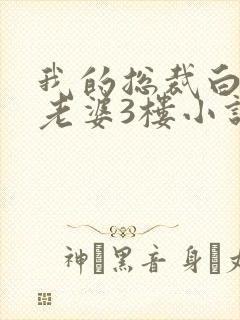 我的总裁白富美老婆3楼小说免费完整版