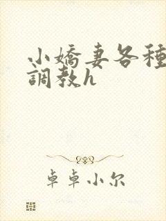 小娇妻各种姿势调教h