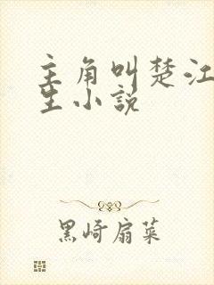 主角叫楚江的重生小说