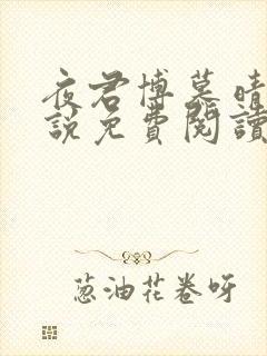 夜君博慕晴的小说免费阅读