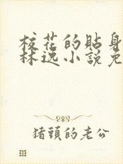 校花的贴身高手林逸小说免费