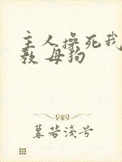 主人操死我 调教 母狗