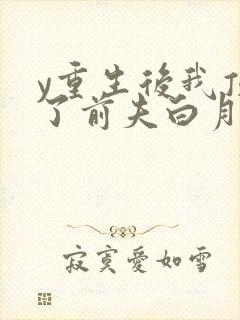 y重生后我顶替了前夫白月光