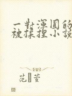 一对浑圆的胸乳被揉捏小说