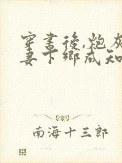 穿书后,炮灰夫妻下乡成知青封面