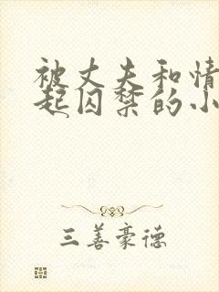 被丈夫和情敌一起囚禁的小说叫什么