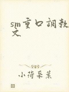 sm重口调教h文