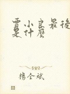 贾小良最后结局是什么封面