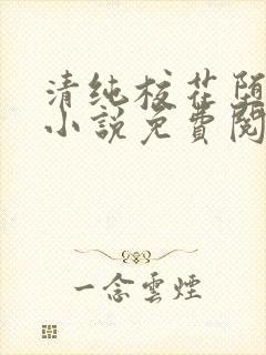 清纯校花堕落记小说免费阅读allimine