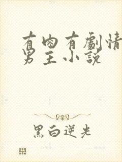 有肉有剧情的双男主小说