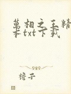 万相之王精校全本txt下载
