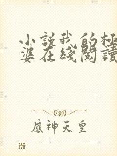 小说我的极品老婆在线阅读全文