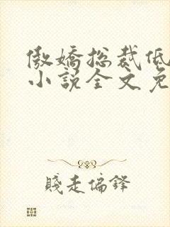 傲娇总裁低调宠小说全文免费阅读