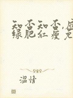 知否知否,应是绿肥红瘦免费观看